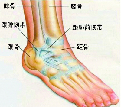 圖片7.png