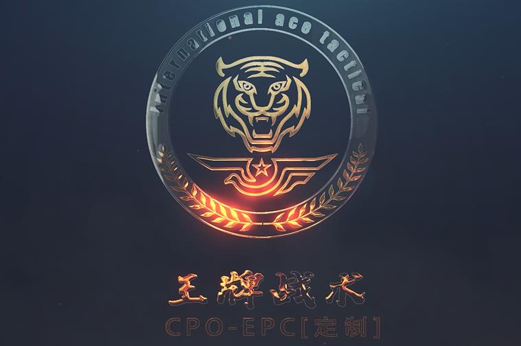 王牌盾上海保鏢公司對恒億集團進行全方位的安保培訓(xùn)與管理建設(shè)，精彩集錦回顧！