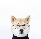 用戶頭像